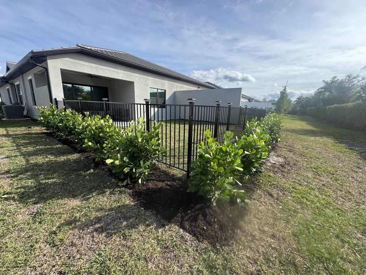 A black aluminum fence running behind a row of new shrubs.